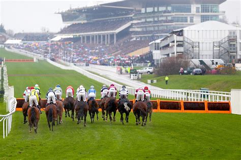 results cheltenham races